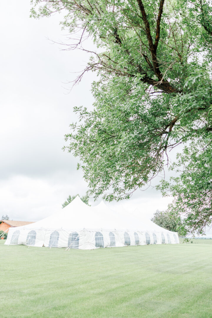 minnesota backyard tent wedding