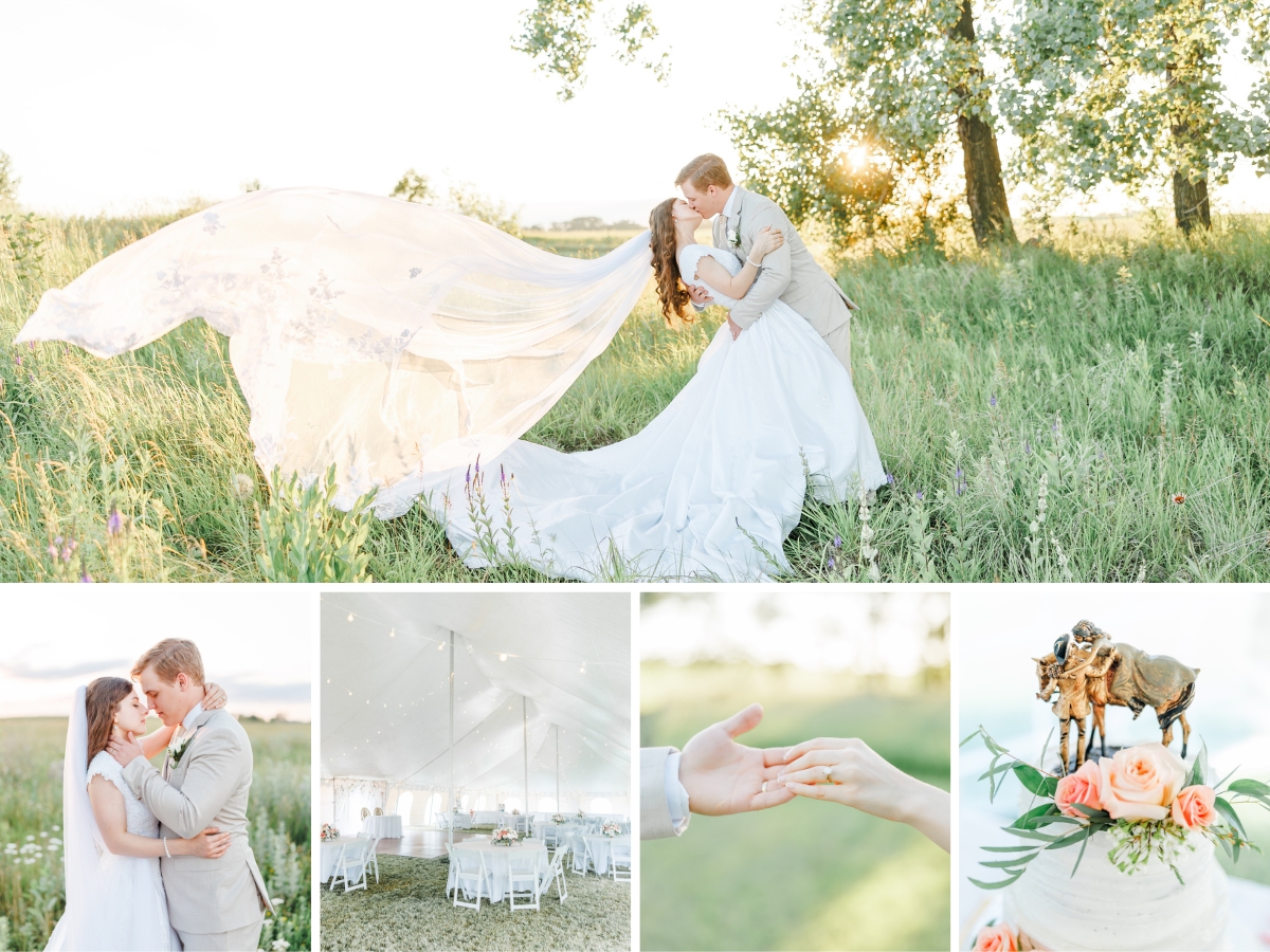 minnesota-backyard-tent-wedding