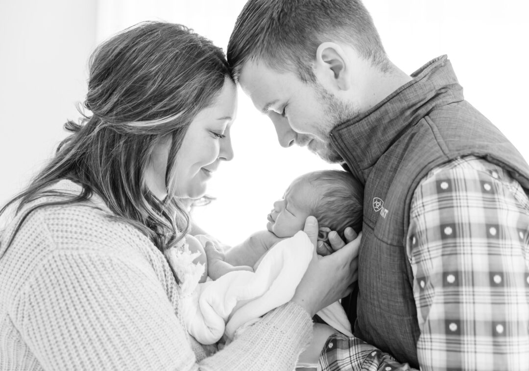 studio newborn session for cooper at mbdn studios