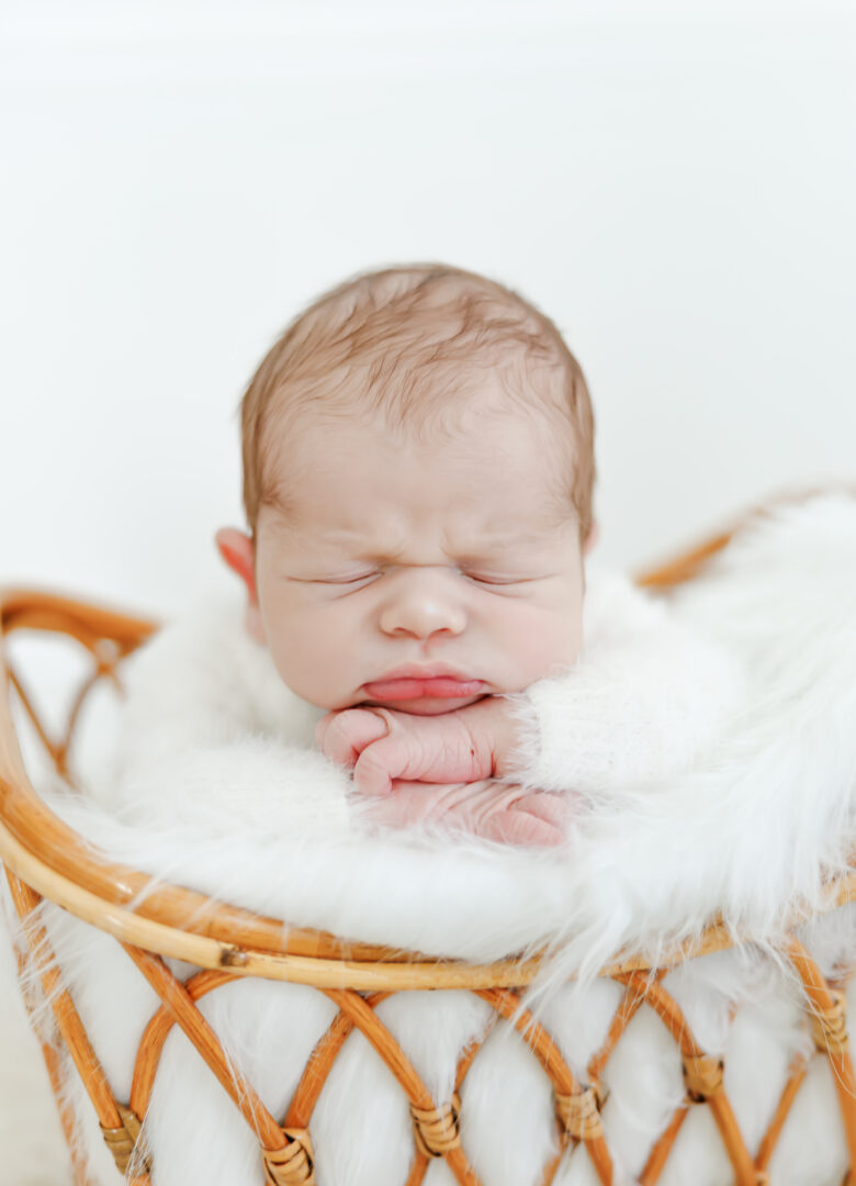 studio newborn session for cooper at mbdn studios