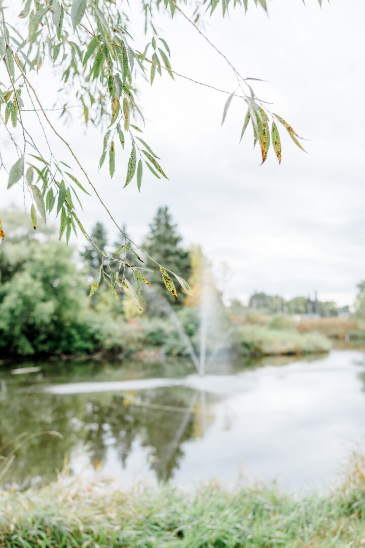 stable waters ranch wedding venue