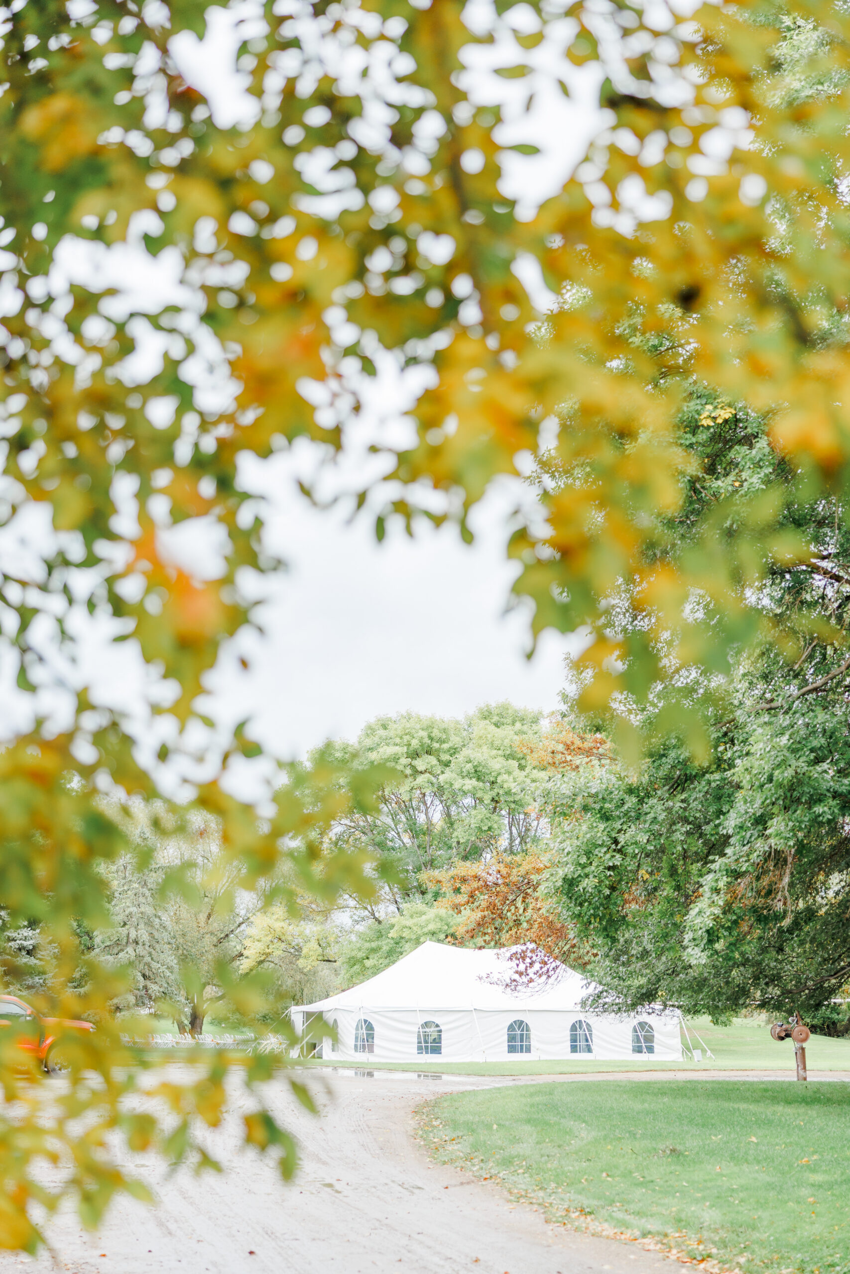 wedding reception in tent at stable waters ranch